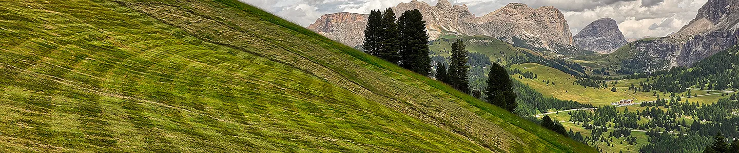 Ferrari-fienagione-montagna-hero