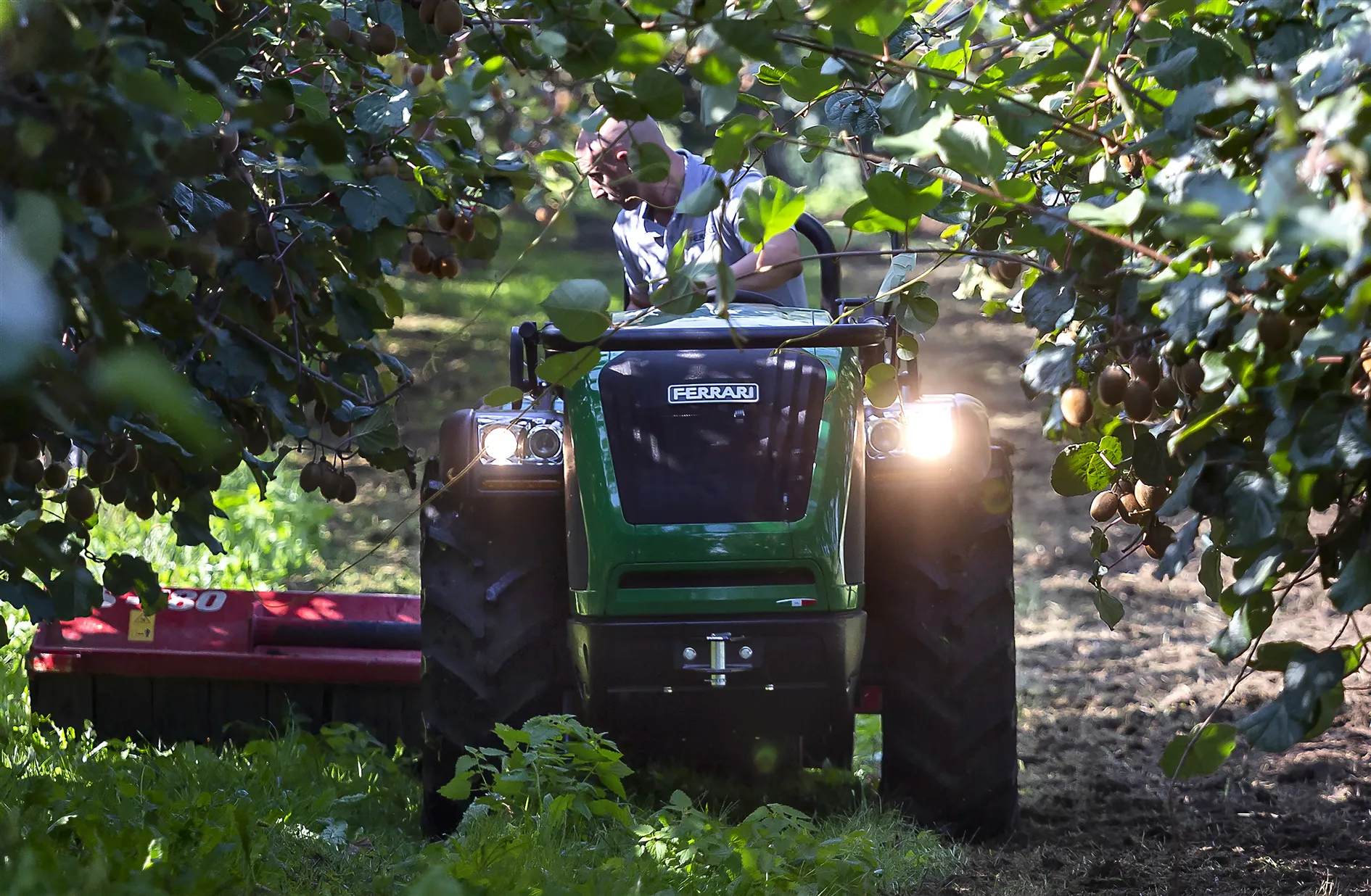 ferrari-campo-applicativo-frutteto